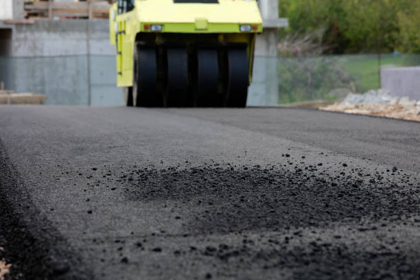 Best Interlocking Driveway Pavers  in South Lake Tahoe, CA